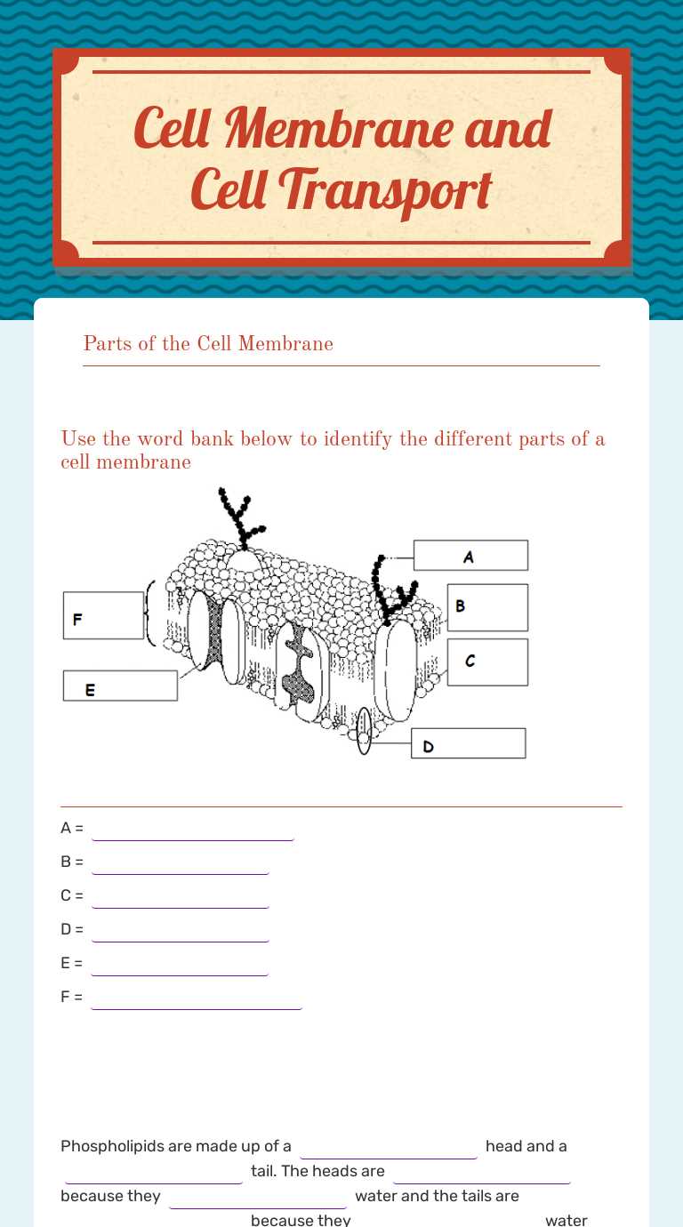 cell membrane transport systems worksheet cell membrane transport systems worksheet