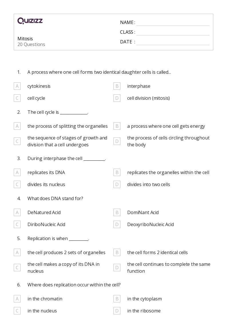 stages of mitosis worksheet