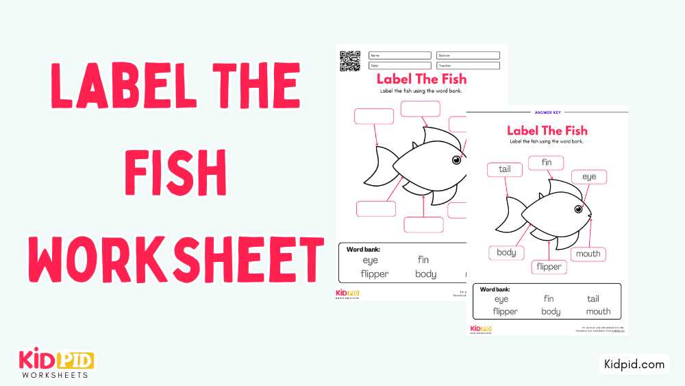 body parts of a fish worksheet