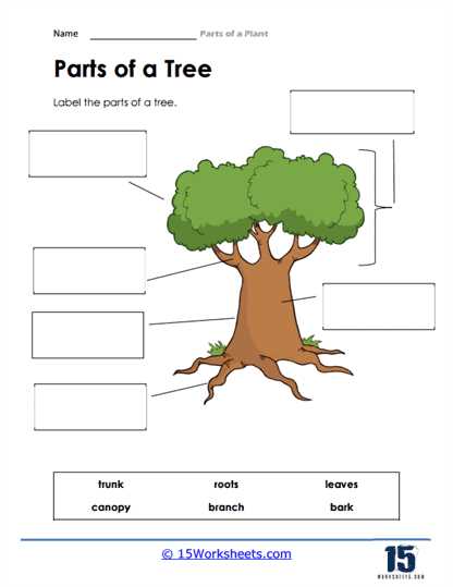 parts of the tree worksheet