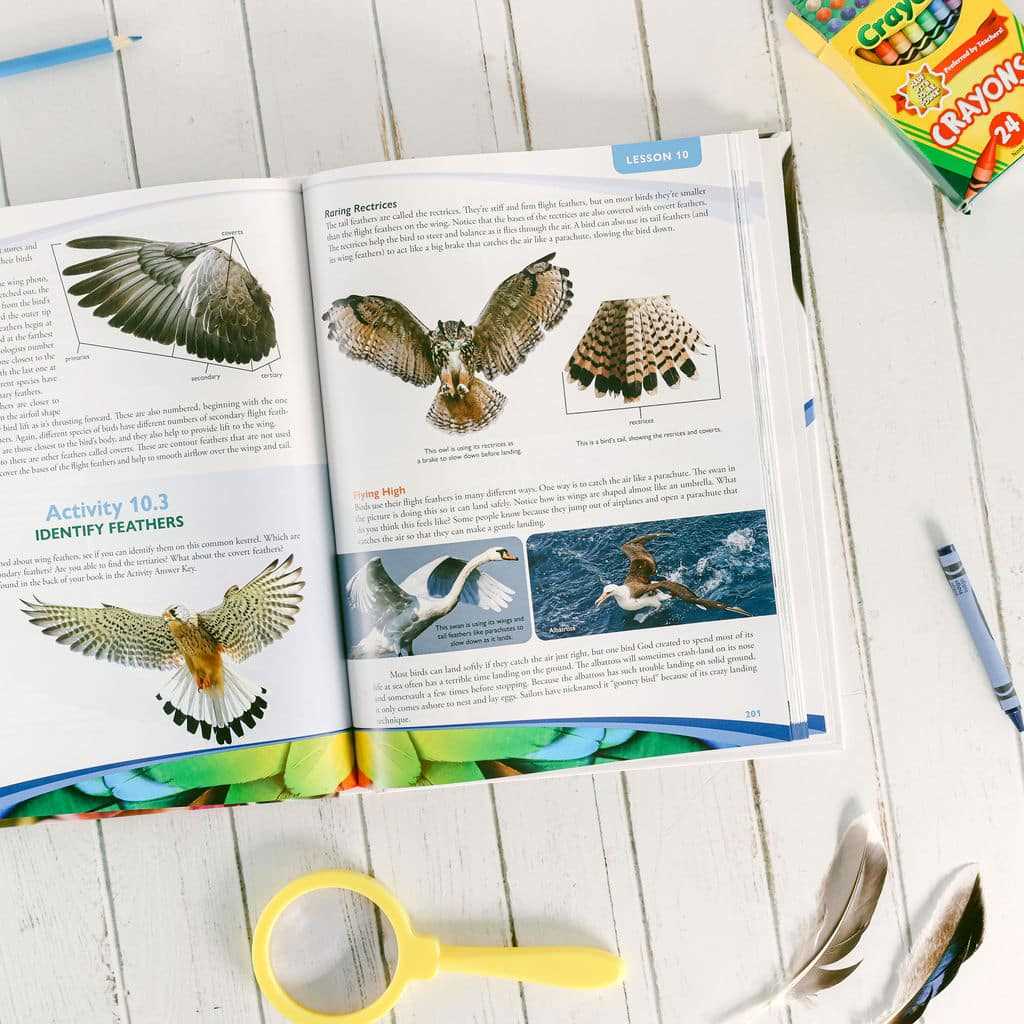 apologia zoology 1 worksheets