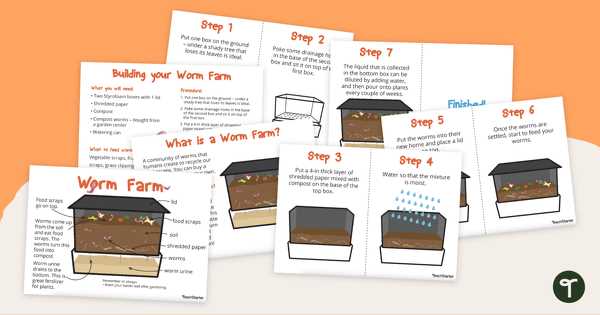 clean up australia day worksheets clean up australia day worksheets