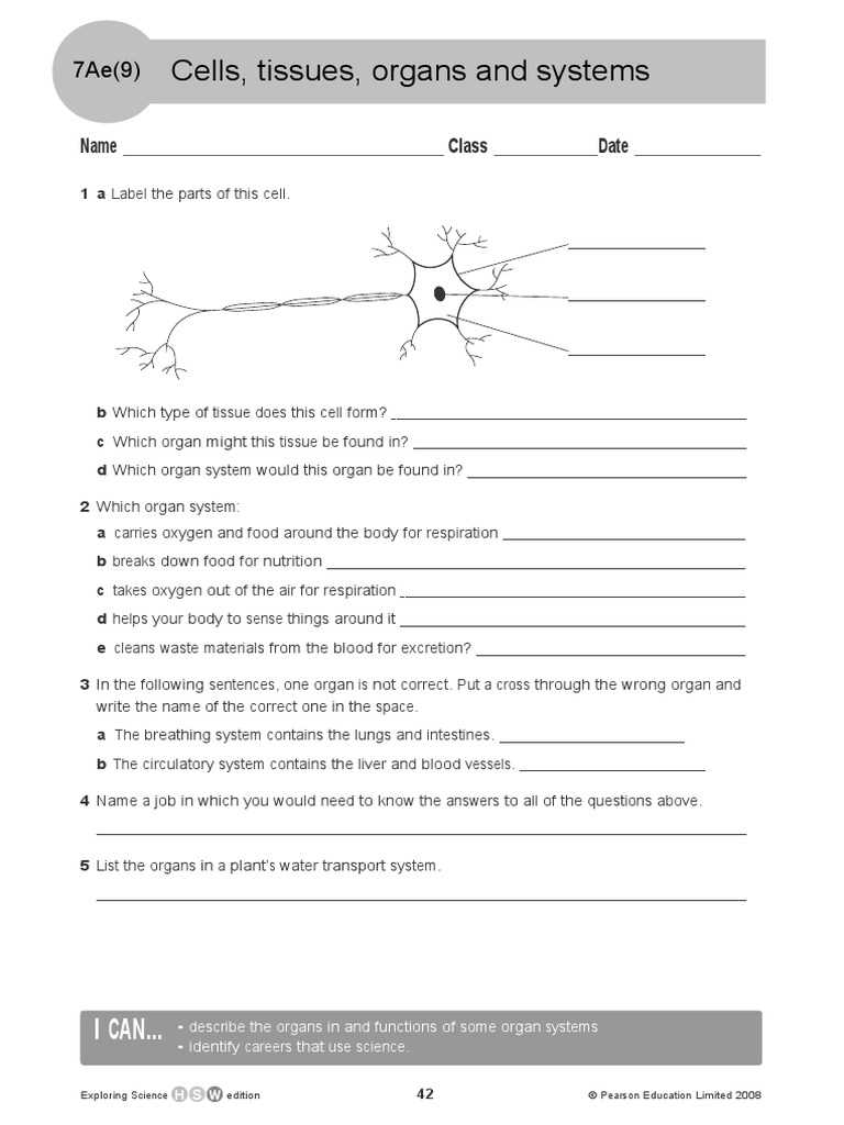 cell questions worksheet