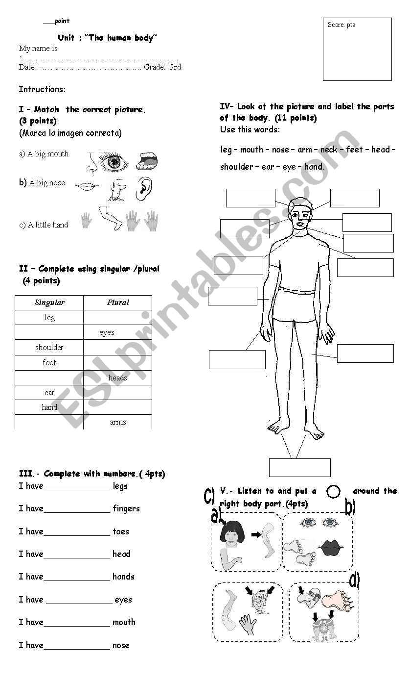 esl body parts worksheet adults