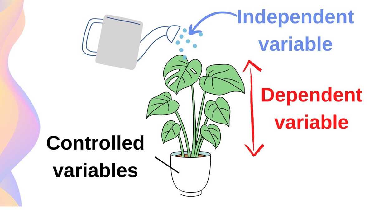 independent dependent controlled variables worksheet