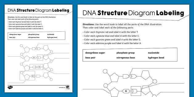 gene expression and dna technology worksheet 8
