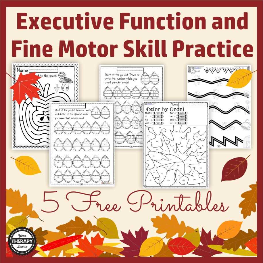 executive function worksheet
