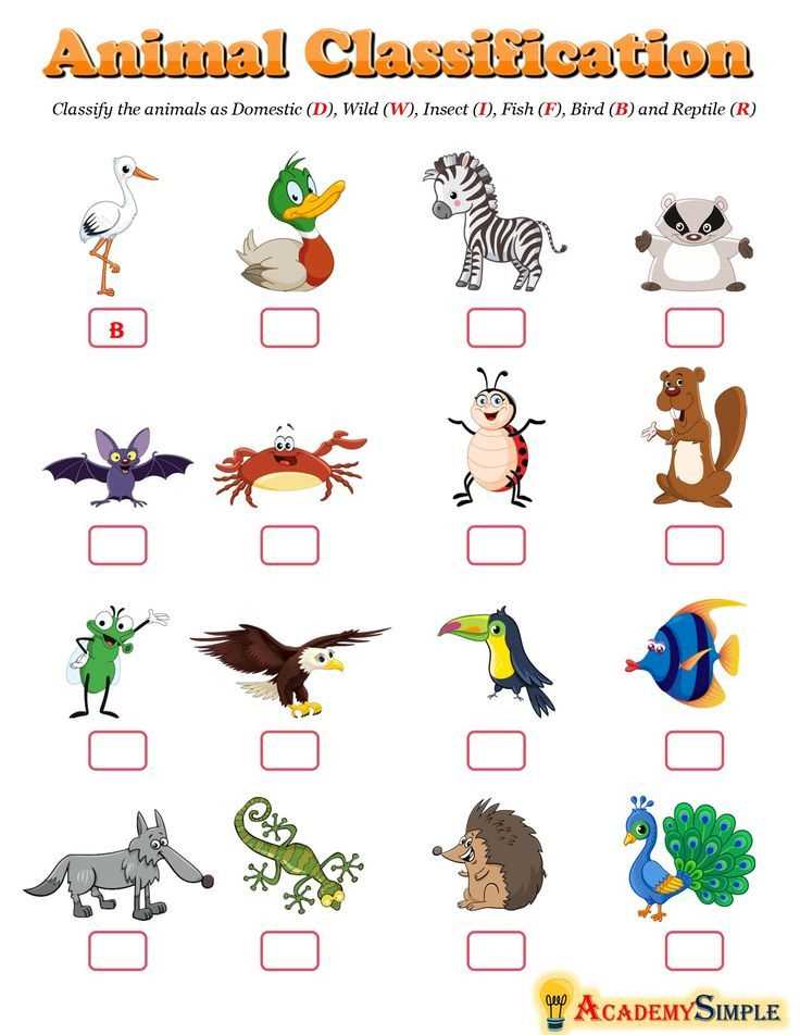 animal taxonomy worksheets