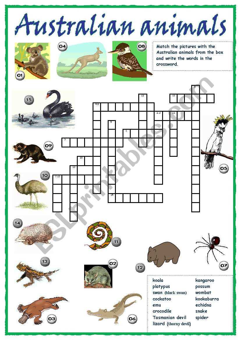 australian animal tracks worksheets