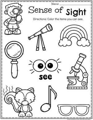 five senses preschool worksheets five senses preschool worksheets