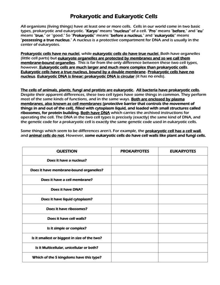 eukaryotic vs prokaryotic cells worksheet