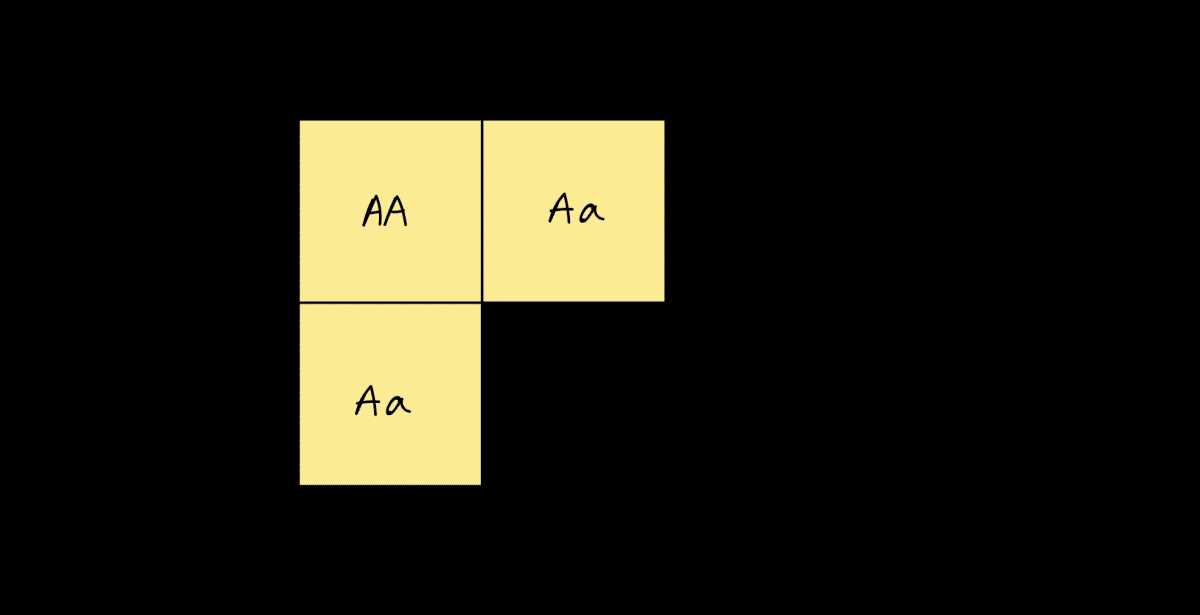 punett square worksheet