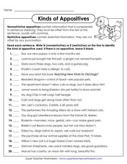 appositive phrase worksheet