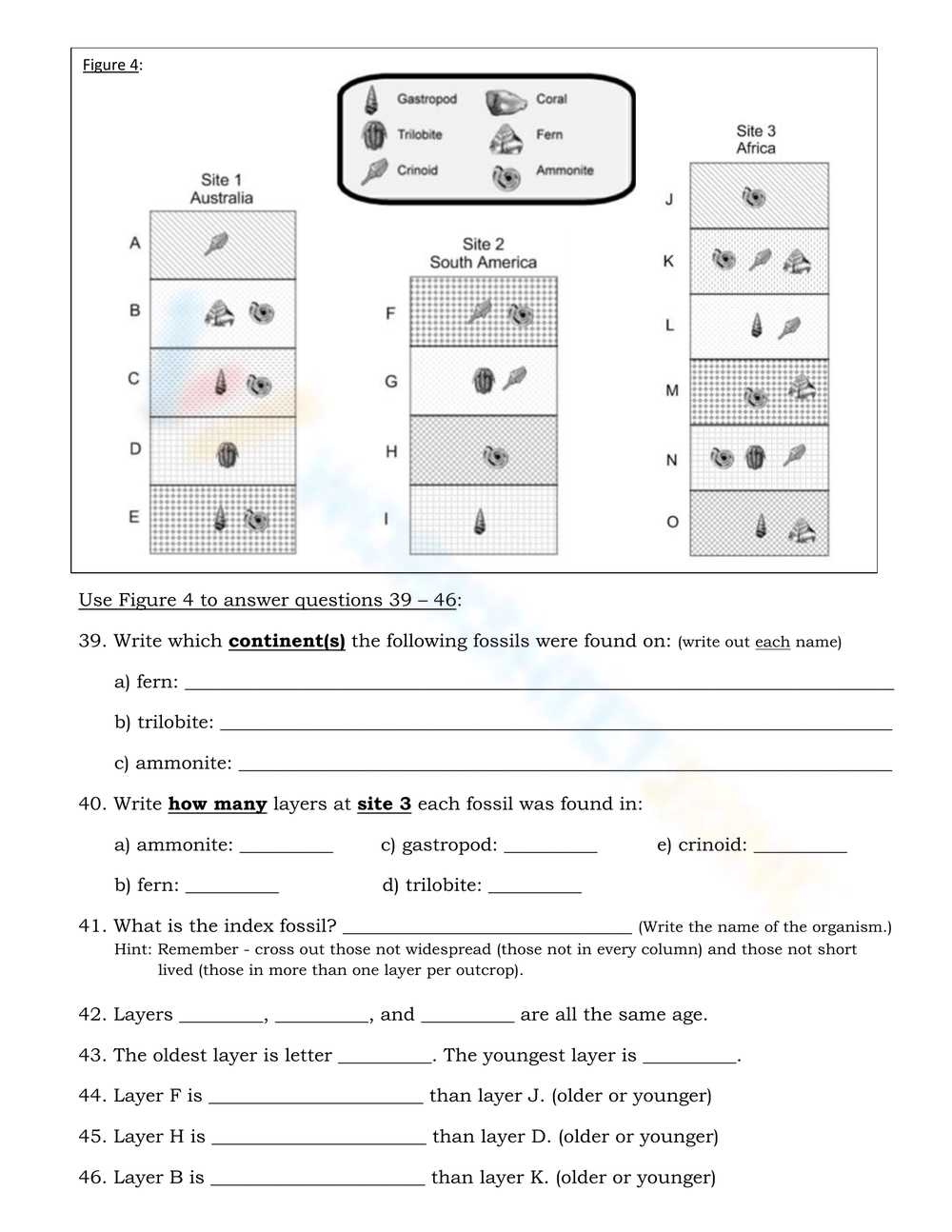 index fossil worksheet