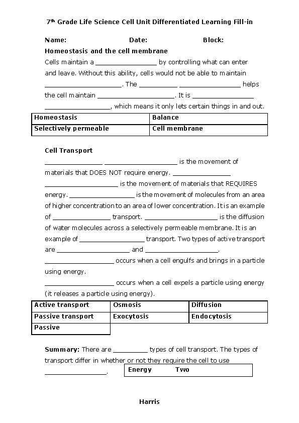 cell membrane and transport worksheet