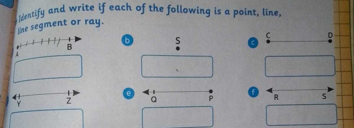 determine if a point is on a line worksheet