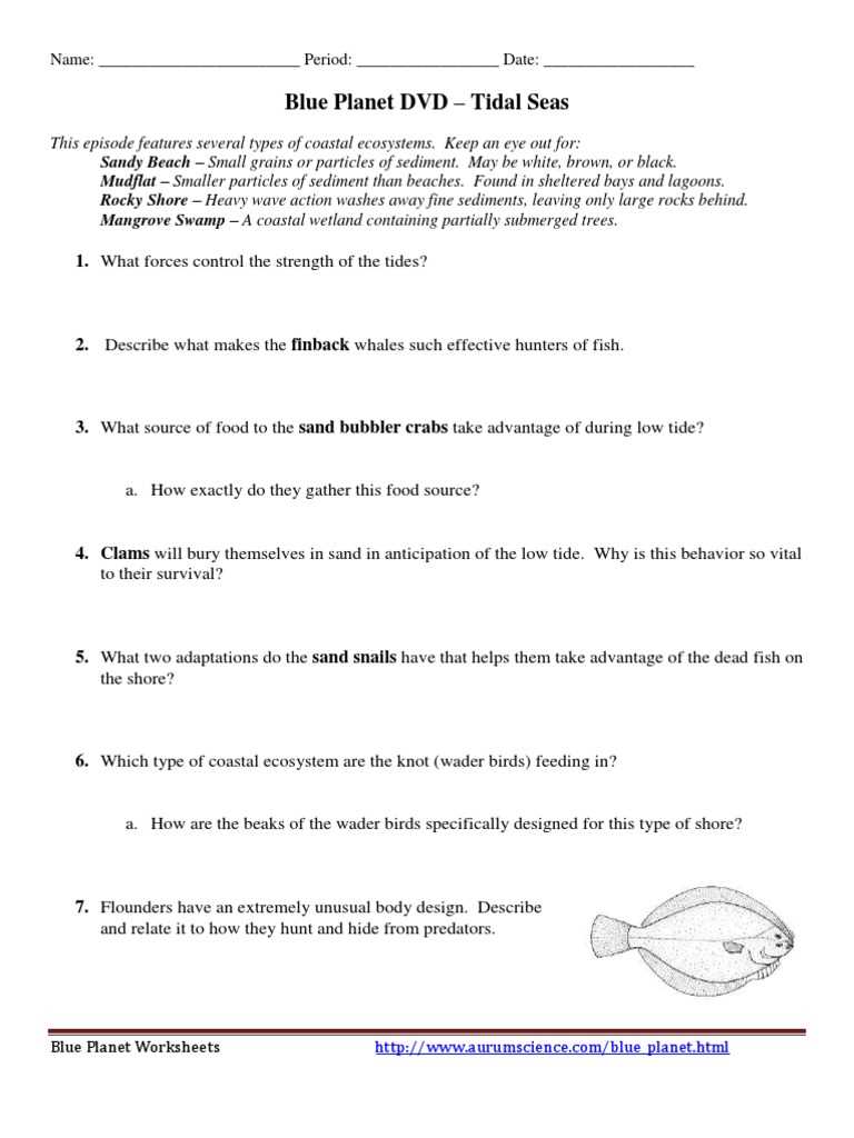 blue planet open ocean worksheet
