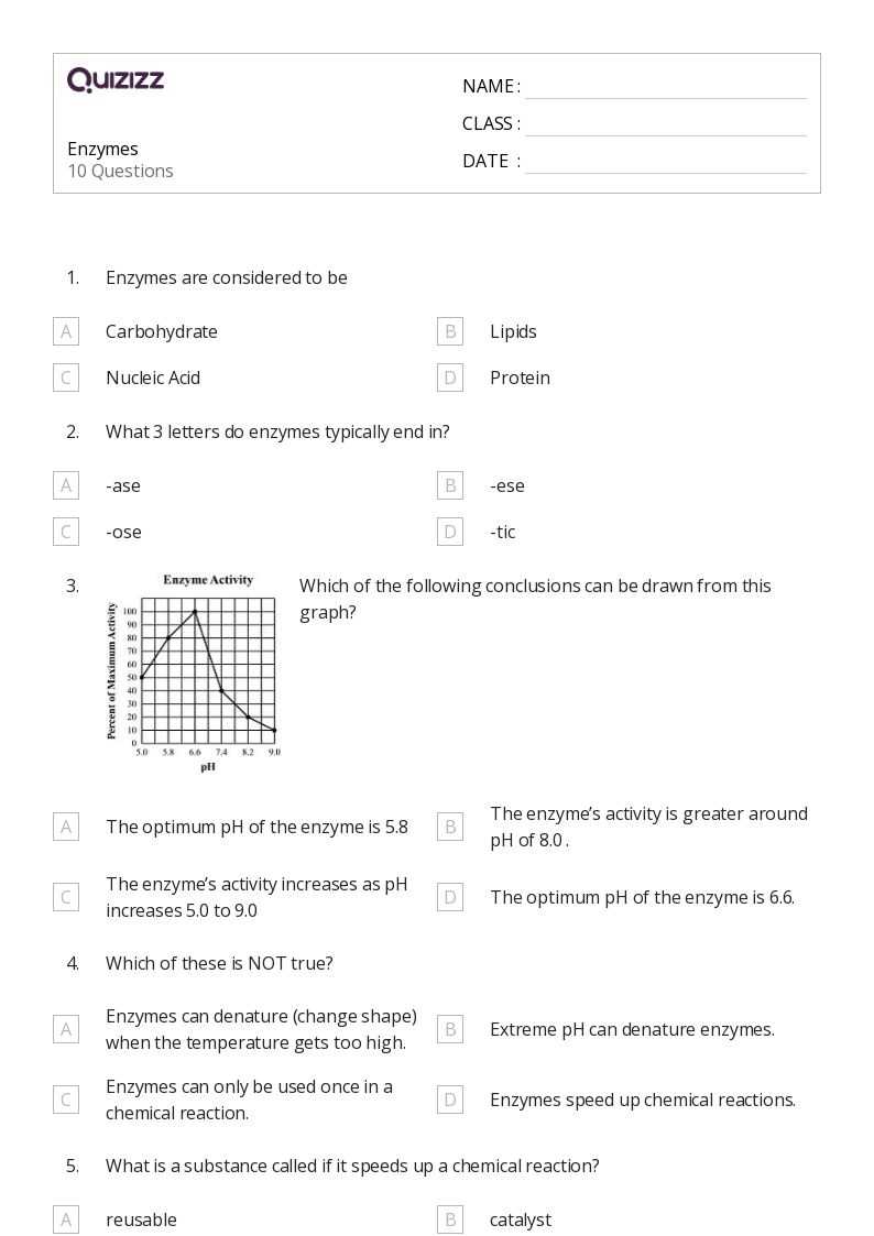 enzymes worksheet