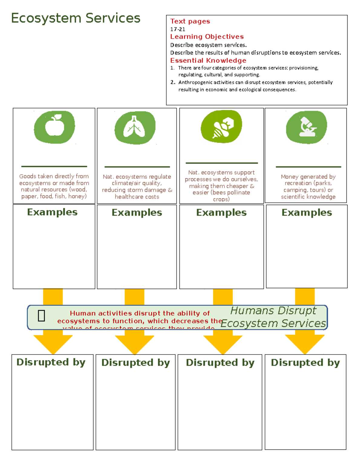 ecosystem services worksheet