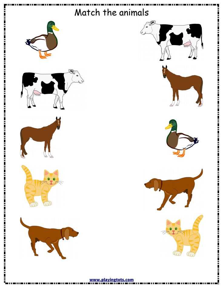 matching animals worksheets