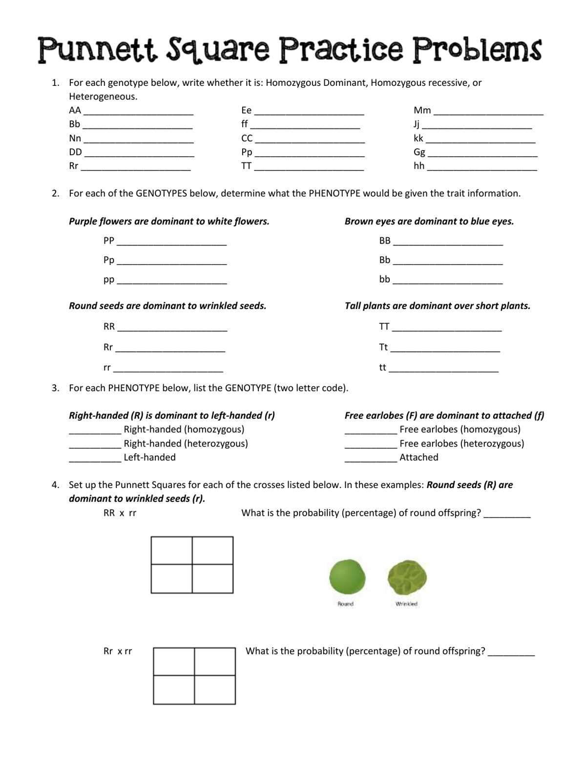 punnet square practice worksheet