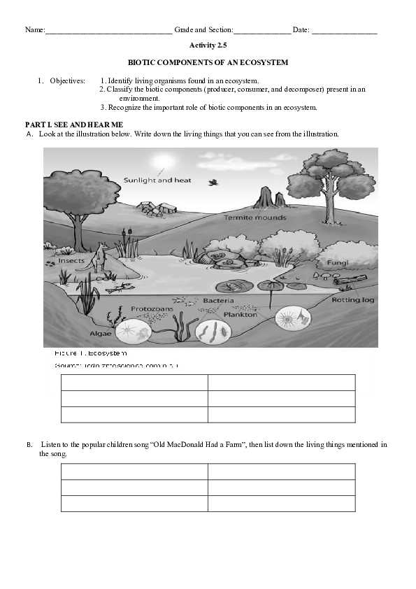 biotic vs abiotic worksheet