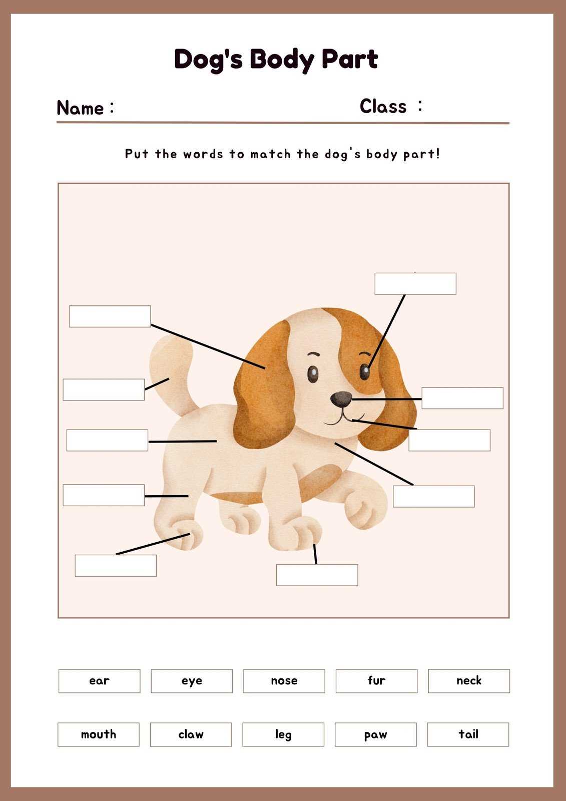 worksheet for parts of the body