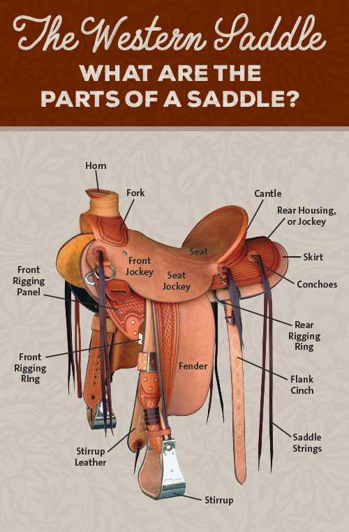 parts of the western saddle worksheet