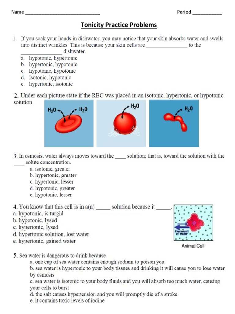 worksheet osmosis & tonicity