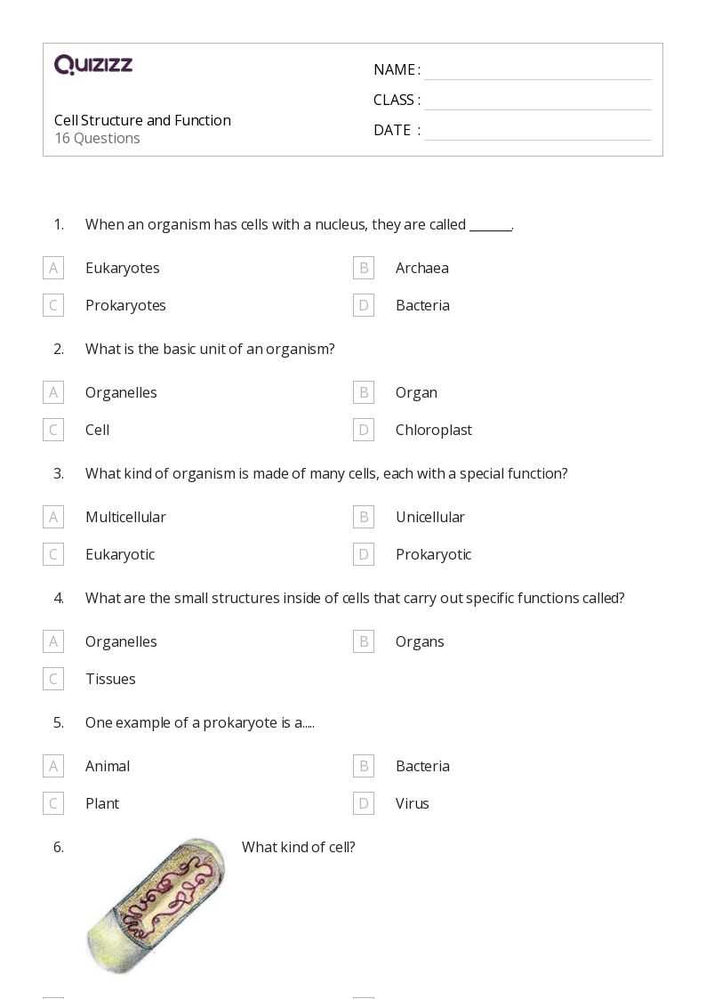 worksheet on cell organelles